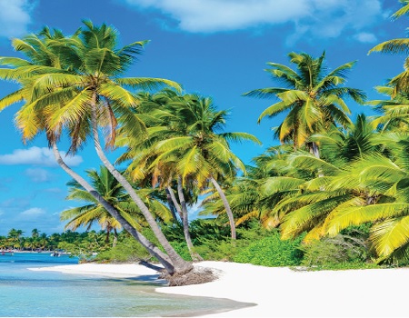 Antigua & Barbuda