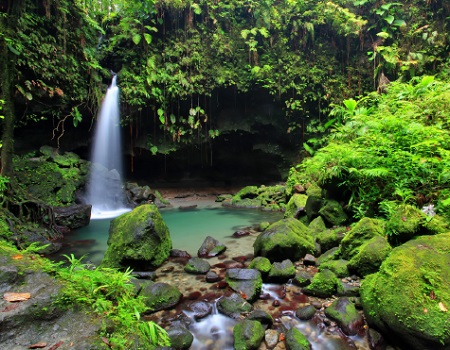 Dominica
